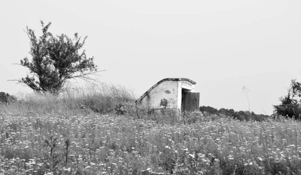 自然の背景に田舎の美しい古い放棄された建物の農場の家 野生の草で古い放棄された建物の農場の家からなる写真 空の上の古い放棄された建物の農場の家 — ストック写真