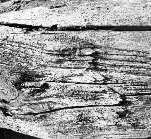 Güzel Ahşap Çatlak Eski Meşe Doğal Doku Yakın Eski Yüzey — Stok fotoğraf