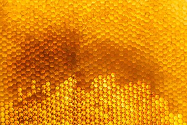 Altın nektarla dolu altıgen bal peteklerinden arı damlayan bal damlası, bal peteği yaz kompozisyonu doğal bal damlası, balmumu çerçeve arısına damlayan bal damlası, bal peteğine damlayan bal damlası