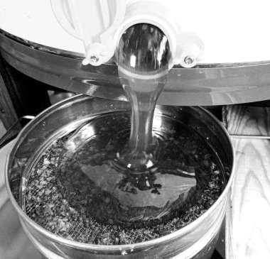 Sıvı nektarla dolu altıgen bal peteklerinden arı damlayan bal damlası, bal petekleri doğal bal damlatan yaz kompozisyonu, balmumu çerçeveli arı damlası, bal peteğine damlayan bal damlası