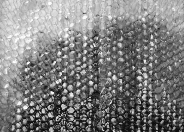 Στάγδην Σταγόνα Μελιού Μέλισσας Από Εξαγωνικές Κηρήθρες Γεμάτες Χρυσό Νέκταρ — Φωτογραφία Αρχείου