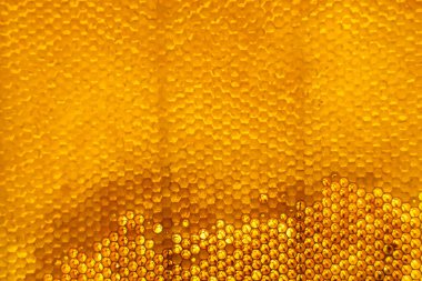 Altın nektarla dolu altıgen bal peteklerinden arı damlayan bal damlası, bal peteği yaz kompozisyonu doğal bal damlası, balmumu çerçeve arısına damlayan bal damlası, bal peteğine damlayan bal damlası