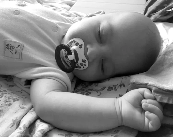 Sova Pojke Med Barn Napphållare Poserar Fotograf För Färgfoto Kadre — Stockfoto