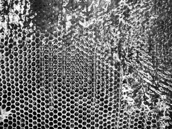 Droppe Bihonung Dropp Från Hexagonala Honungskakor Fyllda Med Gyllene Nektar — Stockfoto