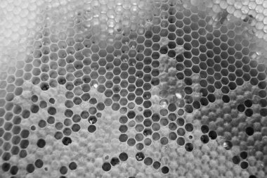 Altın nektarla dolu altıgen bal peteklerinden arı damlayan bal damlası, bal peteği yaz kompozisyonu doğal bal damlası, balmumu çerçeve arısına damlayan bal damlası, bal peteğine damlayan bal damlası