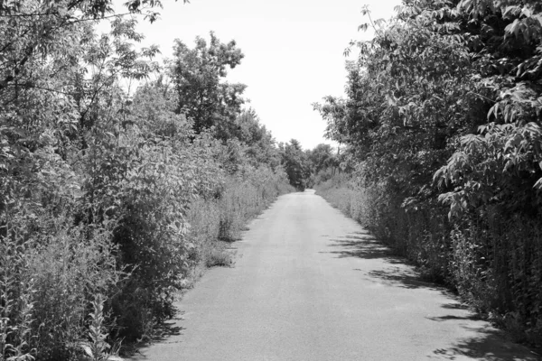 Hermoso Camino Asfalto Vacío Campo Sobre Fondo Color Fotografía Que — Foto de Stock