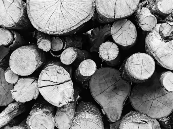 Fotografía Sobre Tema Gran Pared Troncos Roble Apilados Grietas Foto —  Fotos de Stock