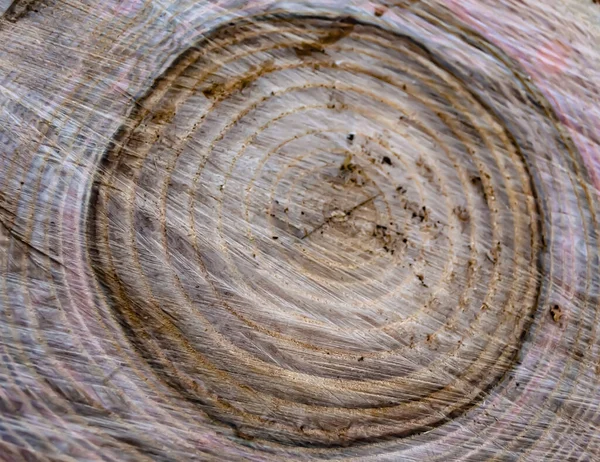 Hermosa Fractura Madera Roble Viejo Textura Natural Cerca Textura Que —  Fotos de Stock