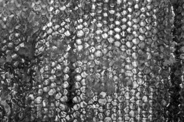 Altın nektarla dolu altıgen bal peteklerinden arı damlayan bal damlası, bal peteği yaz kompozisyonu doğal bal damlası, balmumu çerçeve arısına damlayan bal damlası, bal peteğine damlayan bal damlası