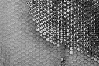 Altın nektarla dolu altıgen bal peteklerinden arı damlayan bal damlası, bal peteği yaz kompozisyonu doğal bal damlası, balmumu çerçeve arısına damlayan bal damlası, bal peteğine damlayan bal damlası