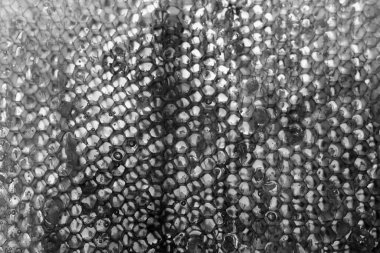 Altın nektarla dolu altıgen bal peteklerinden arı damlayan bal damlası, bal peteği yaz kompozisyonu doğal bal damlası, balmumu çerçeve arısına damlayan bal damlası, bal peteğine damlayan bal damlası