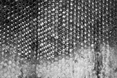 Altın nektarla dolu altıgen bal peteklerinden arı damlayan bal damlası, bal peteği yaz kompozisyonu doğal bal damlası, balmumu çerçeve arısına damlayan bal damlası, bal peteğine damlayan bal damlası