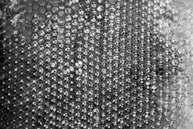 Altın nektarla dolu altıgen bal peteklerinden arı damlayan bal damlası, bal peteği yaz kompozisyonu doğal bal damlası, balmumu çerçeve arısına damlayan bal damlası, bal peteğine damlayan bal damlası