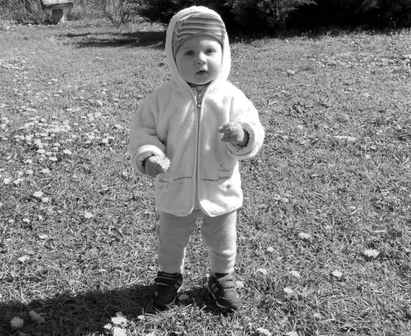 Renkli fotoğraf için poz veren çocuk yüzlü güzel erkek bebek, çocuk imajı olan erkek bebek kadrosu, beyaz yüz ifadesi, çocuk suratlı sağlıklı bir erkek çocuğu, iyi bir çekim için dinleniyor.