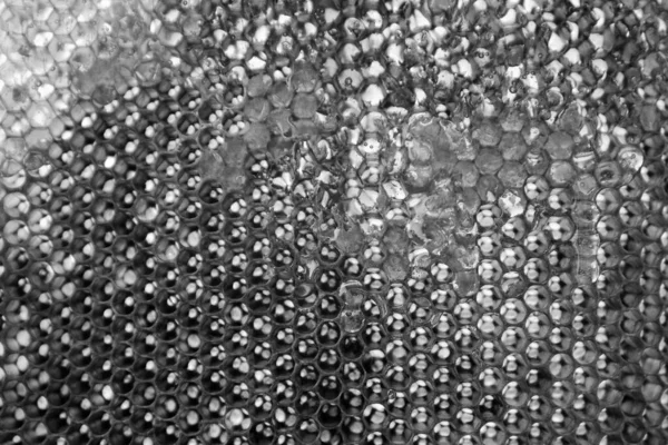 Altın nektarla dolu altıgen bal peteklerinden arı damlayan bal damlası, bal peteği yaz kompozisyonu doğal bal damlası, balmumu çerçeve arısına damlayan bal damlası, bal peteğine damlayan bal damlası