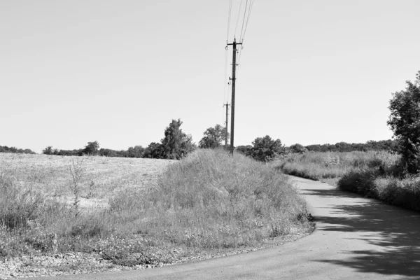 Renkli arka planda güzel boş asfalt yol, kırsal alandan geçen yeni boş asfalt yol, yeşillik kırsalında hız arabası için boş asfalt yol.