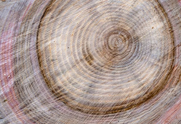 Krásná Dřevěná Trhlina Starý Dub Přírodní Textura Zblízka Textura Skládající — Stock fotografie