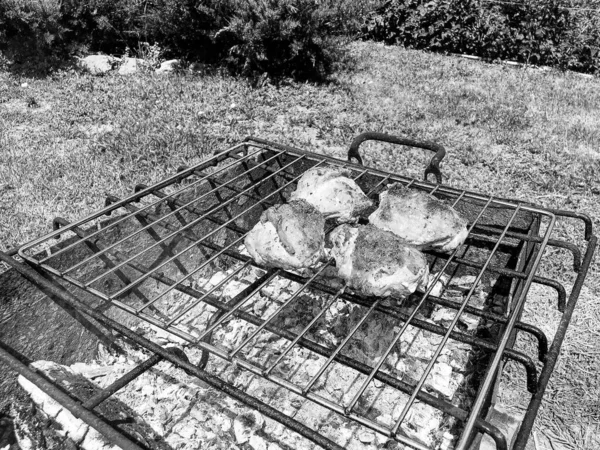 Fotografia Tema Bela Carne Frango Grelhada Braseiro Pronto Para Comer — Fotografia de Stock