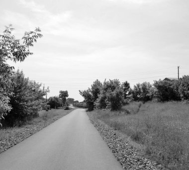 Renkli arka planda güzel boş asfalt yol, kırsal alandan geçen yeni boş asfalt yol, yeşillik kırsalında hız arabası için boş asfalt yol.