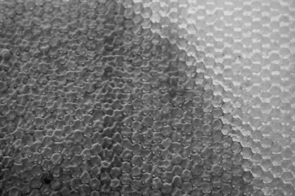 Altın nektarla dolu altıgen bal peteklerinden arı damlayan bal damlası, bal peteği yaz kompozisyonu doğal bal damlası, balmumu çerçeve arısına damlayan bal damlası, bal peteğine damlayan bal damlası