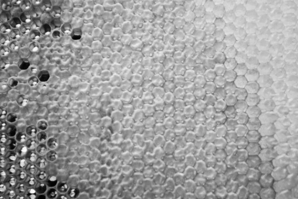 Altın nektarla dolu altıgen bal peteklerinden arı damlayan bal damlası, bal peteği yaz kompozisyonu doğal bal damlası, balmumu çerçeve arısına damlayan bal damlası, bal peteğine damlayan bal damlası