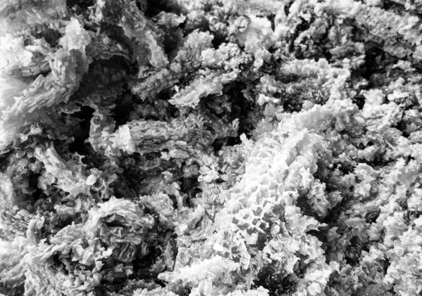 Altın nektarla dolu altıgen bal peteklerinden arı damlayan bal damlası, bal peteği yaz kompozisyonu doğal bal damlası, balmumu çerçeve arısına damlayan bal damlası, bal peteğine damlayan bal damlası