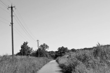 Renkli arka planda güzel boş asfalt yol, kırsal alandan geçen yeni boş asfalt yol, yeşillik kırsalında hız arabası için boş asfalt yol.