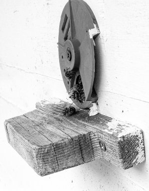 Kanatlı arı yavaşça uçar ve canlı çiçeklerden özel arı kovanına nektar toplar. Arı kovanından, arı kovanından, arı bacağındaki çiçek tozundan, arılara yakın planda arı kovanından oluşan arı kovanından.