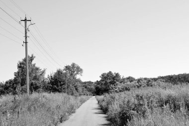 Renkli arka planda güzel boş asfalt yol, kırsal alandan geçen yeni boş asfalt yol, yeşillik kırsalında hız arabası için boş asfalt yol.