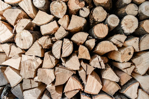 Photography on theme big wall of stacked oak tree logs in cracks, photo consisting of old oak tree logs on nature background, oak tree logs from textured round annual rings with stripes various size