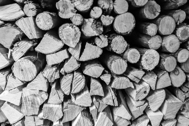 Temalı büyük bir meşe ağacı kütüğü duvarı, doğal arka planda eski meşe kütükleri, çeşitli çizgilerle dokulu geleneksel meşe ağacı kütükleri.