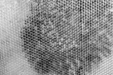 Altın nektarla dolu altıgen bal peteklerinden arı damlayan bal damlası, bal peteği yaz kompozisyonu doğal bal damlası, balmumu çerçeve arısına damlayan bal damlası, bal peteğine damlayan bal damlası