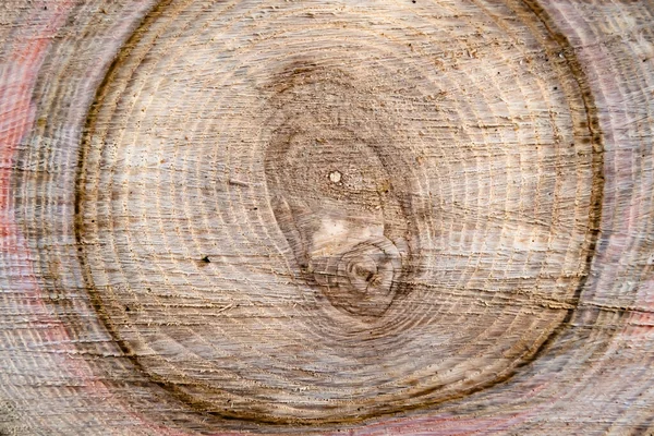 Schöne Holzfraktur Alte Eiche Natürliche Textur Nahaufnahme Textur Bestehend Aus — Stockfoto