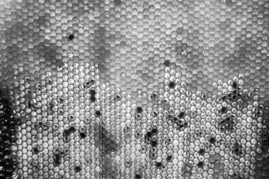 Altın nektarla dolu altıgen bal peteklerinden arı damlayan bal damlası, bal peteği yaz kompozisyonu doğal bal damlası, balmumu çerçeve arısına damlayan bal damlası, bal peteğine damlayan bal damlası