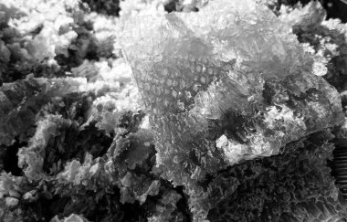 Altın nektarla dolu altıgen bal peteklerinden arı damlayan bal damlası, bal peteği yaz kompozisyonu doğal bal damlası, balmumu çerçeve arısına damlayan bal damlası, bal peteğine damlayan bal damlası