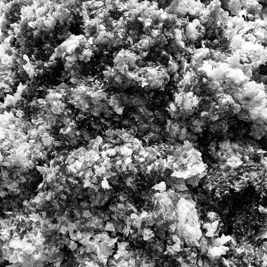 Altın nektarla dolu altıgen bal peteklerinden arı damlayan bal damlası, bal peteği yaz kompozisyonu doğal bal damlası, balmumu çerçeve arısına damlayan bal damlası, bal peteğine damlayan bal damlası