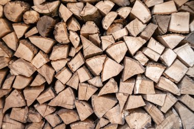 Temalı büyük bir meşe ağacı kütüğü duvarı, doğal arka planda eski meşe kütükleri, çeşitli çizgilerle dokulu geleneksel meşe ağacı kütükleri.