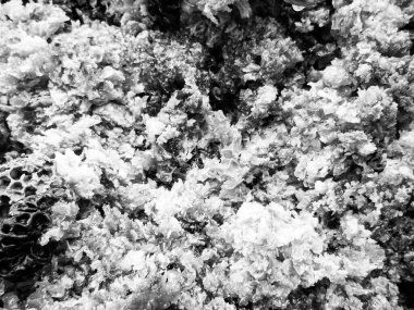 Altın nektarla dolu altıgen bal peteklerinden arı damlayan bal damlası, bal peteği yaz kompozisyonu doğal bal damlası, balmumu çerçeve arısına damlayan bal damlası, bal peteğine damlayan bal damlası