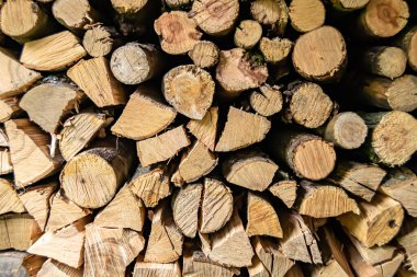 Temalı büyük bir meşe ağacı kütüğü duvarı, doğal arka planda eski meşe kütükleri, çeşitli çizgilerle dokulu geleneksel meşe ağacı kütükleri.