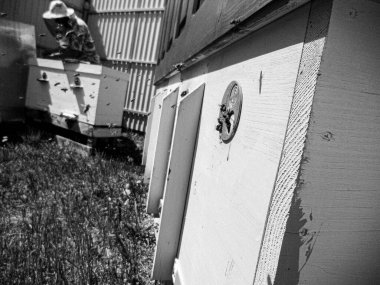 Kanatlı arı yavaşça uçar ve canlı çiçeklerden özel arı kovanına nektar toplar. Arı kovanından, arı kovanından, arı bacağındaki çiçek tozundan, arılara yakın planda arı kovanından oluşan arı kovanından.