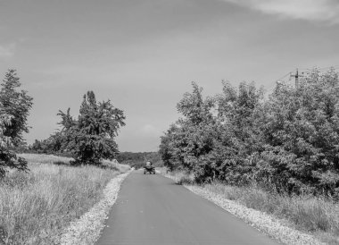 Güzel, kahverengi at, yaz aygırı, yeşil çimen yiyen at, ayakta duran uzun yeleli at, açık havada at atı, büyük at atları.