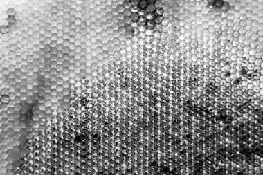 Altın nektarla dolu altıgen bal peteklerinden arı damlayan bal damlası, bal peteği yaz kompozisyonu doğal bal damlası, balmumu çerçeve arısına damlayan bal damlası, bal peteğine damlayan bal damlası