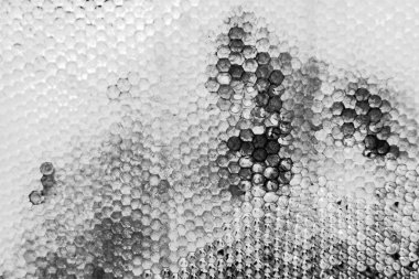 Altın nektarla dolu altıgen bal peteklerinden arı damlayan bal damlası, bal peteği yaz kompozisyonu doğal bal damlası, balmumu çerçeve arısına damlayan bal damlası, bal peteğine damlayan bal damlası