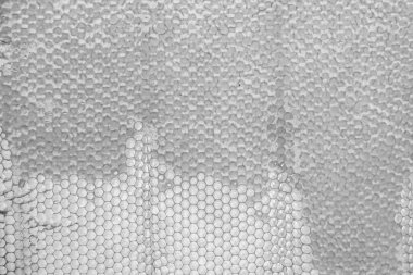 Altın nektarla dolu altıgen bal peteklerinden arı damlayan bal damlası, bal peteği yaz kompozisyonu doğal bal damlası, balmumu çerçeve arısına damlayan bal damlası, bal peteğine damlayan bal damlası