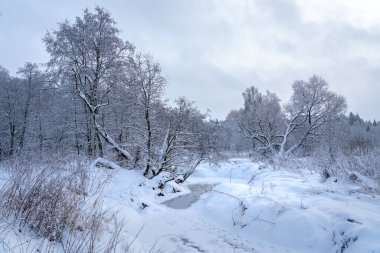 Ormanda kış masalı