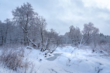 Ormanda kış masalı