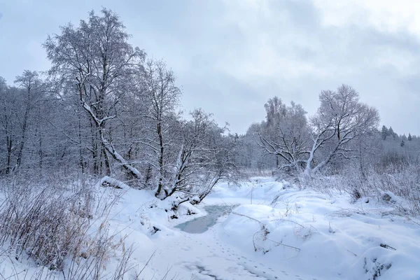 Ormanda kış masalı