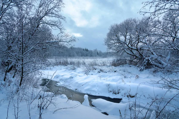 Conto Inverno Floresta — Fotografia de Stock