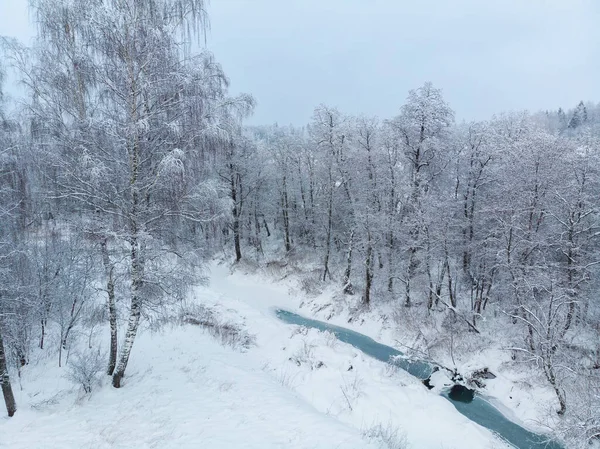 森の冬の物語 ロイヤリティフリーのストック写真