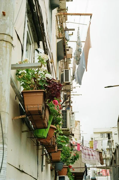 Flores Construção Janelas Casa Geórgia Batumi 35Mm Filme Analógico Foto — Fotografia de Stock